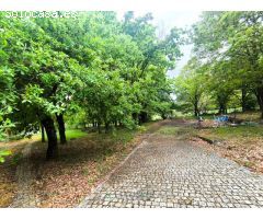 Casa de piedra con finca cerrada a solo 5km de Monforte de Lemos