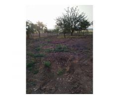 Oportunidad, terreno rústico en Casalareina.