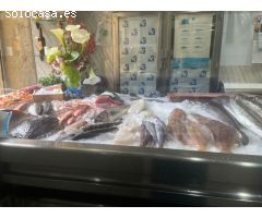 Pescaderia en venta en el corazón de Haro.