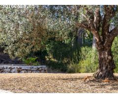 Villa de calidad en venta en La Sella para no perderse