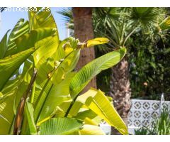 ¿Quieres comprar una villa cerca de la Playa del Arenal en Javea?
