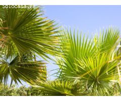 ¿Quieres comprar una villa cerca de la Playa del Arenal en Javea?