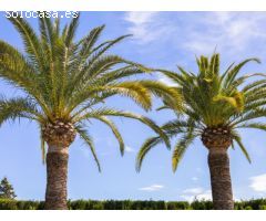 ¿Quieres comprar una villa cerca de la Playa del Arenal en Javea?