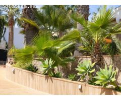 ¿Quieres comprar una villa cerca de la Playa del Arenal en Javea?