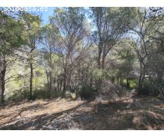 Parcela en la sierra de Altea con mucha privacidad