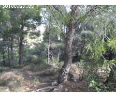 Parcela en la sierra de Altea con mucha privacidad