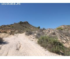 Parcela rustica en un entorno natural en Aspe