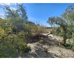 Amplia villa a reformar en torrellano, ELche