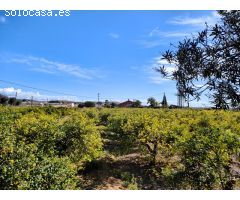 Amplia villa a reformar en torrellano, ELche