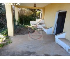 CASA EN VENTA CON 50 HANEGADAS DE NARANJOS EN MANUEL