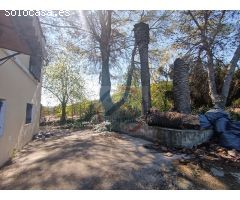 CASA EN VENTA CON 50 HANEGADAS DE NARANJOS EN MANUEL