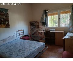 CASA EN VENTA CON 50 HANEGADAS DE NARANJOS EN MANUEL