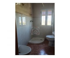 CASA EN VENTA CON 50 HANEGADAS DE NARANJOS EN MANUEL