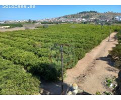 CASA EN VENTA CON 50 HANEGADAS DE NARANJOS EN MANUEL