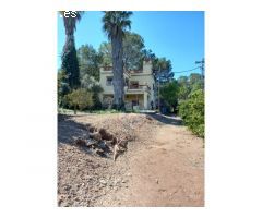 CASA EN VENTA CON 50 HANEGADAS DE NARANJOS EN MANUEL