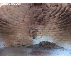 CASA EN VENTA CON 50 HANEGADAS DE NARANJOS EN MANUEL