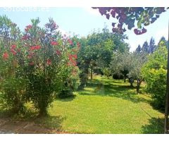 CHALET EN VENTA EN SIMAT DE LA VALLDIGNA