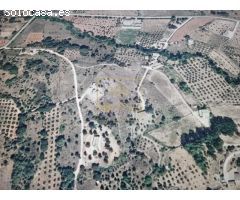 Finca rústica de terreno llano cerca de Riopar Viejo precio negociable
