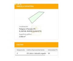 Finca rústica de terreno llano cerca de Riopar Viejo precio negociable