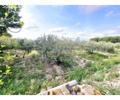 Venta casa en Hellin con patio y parcela