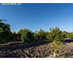 Chalet Independiente en Urb La Pilarica