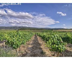 La Finca en Ontinyent-Fontanars