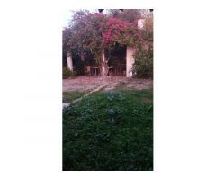 Oportunidad de hacer la casa tus sueños en Binisalem Mallorca.