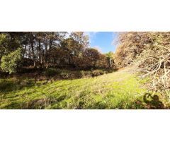 FINCA CON AGUA ARBOLADO Y PRADO