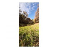 FINCA CON AGUA ARBOLADO Y PRADO