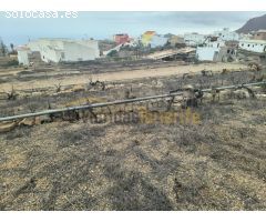 A la venta Finca rústica en Tamaide, San Miguel de Abona!