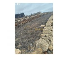 A la venta Finca rústica en Tamaide, San Miguel de Abona!