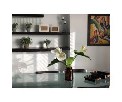 DUPLEX CENTRO NIGRAN