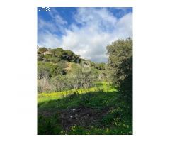Suelo Residencial en la zona de Elviria- Marbella