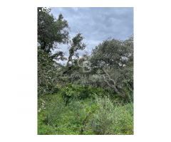 Terreno urbanizable en Altos de Valderrama