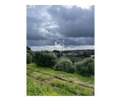 Terreno urbanizable en Sotograndre