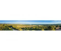 Exclusivas parcelas en la Reserva de Sotogrande