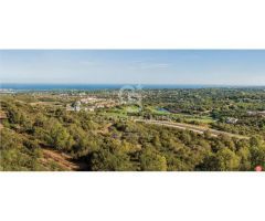 Exclusivas parcelas en la Reserva de Sotogrande
