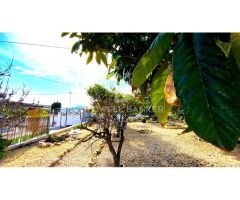Chalet independiente con 1.400m2 de parcela en La Nucia