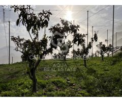 Fica en Callosa D´en Sarria