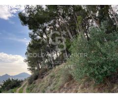 Fica en Callosa D´en Sarria