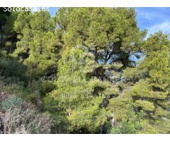 Fica en Callosa D´en Sarria
