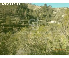 Gran finca con casa
