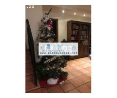 Casa-Chalet en venta en Senyera