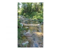 Finca rústica en venta en Sant Feliu de Buixalleu (Girona)