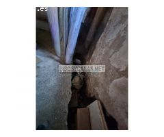 Finca rústica en venta en Sant Feliu de Buixalleu (Girona)