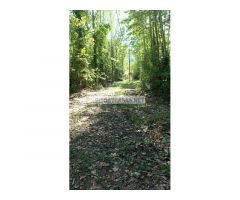 Finca rústica en venta en Sant Feliu de Buixalleu (Girona)