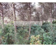 Terrenol en venta en Carrer Dels Carboners, Tordera pueblo