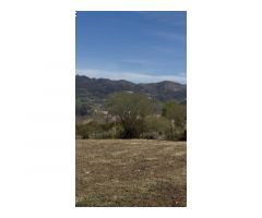 Una de las mejores parcelas de la ciudad de Oviedo