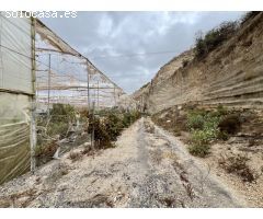 Gran oportunidad!!! Terreno con 400m2 edificable y 18.000m2 agrícolas.