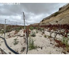 Gran oportunidad!!! Terreno con 400m2 edificable y 18.000m2 agrícolas.